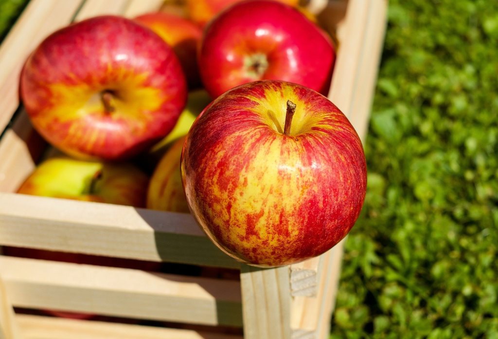 Kedvenc őszi gyümölcsünk kellemetlen tüneteket okozhat