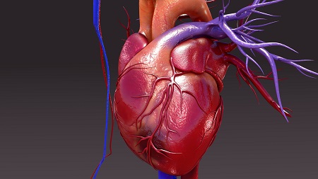 Mennyire veszélyezteti Önt a szívinfarktus? 