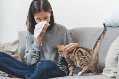 Immunterápia kisállat allergiára: kinek ajánlott és mikor hoz javulást?