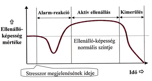 Selye-féle általános adaptációs szindróma 3 fázisa