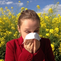 Durva napok várnak a pollenallergiásokra