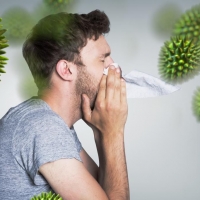 Mivel kezeljük a parlagfű allergia tüneteit?