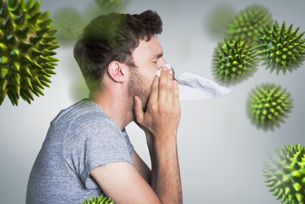 Mivel kezeljük a parlagfű allergia tüneteit?